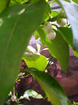 F1000092.JPG