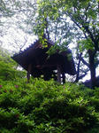 F1000091.JPG