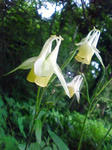 F1000222.JPG