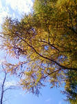F1000316.JPG
