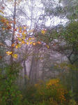 F1000379.JPG