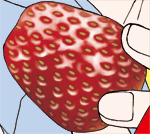 イチゴ
