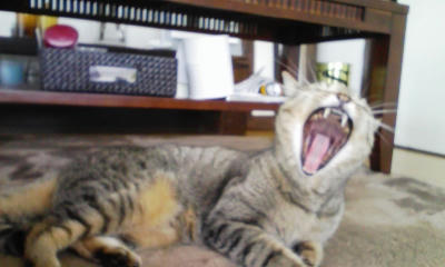 100131_145016.jpg