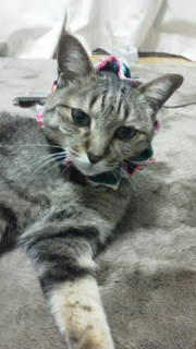 20101206204706.jpg