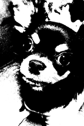 IMG_3691.png