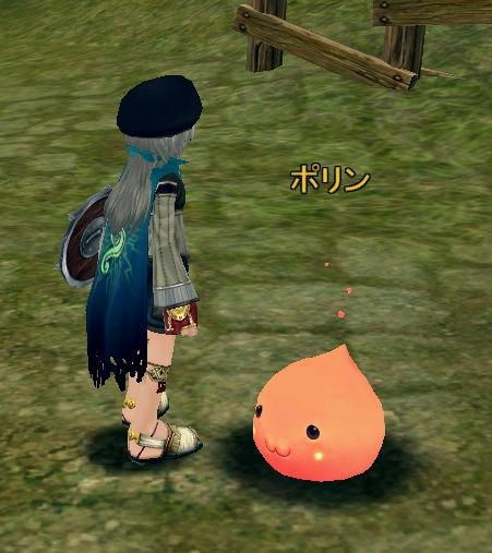 ポリン会えた
