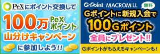 マクロミルでGポイント＆PEX山分けキャンペーンを利用して換金しました。