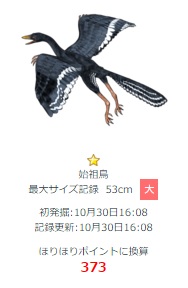 始祖鳥