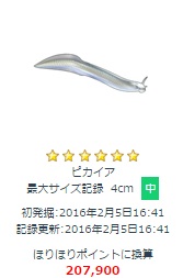 ピカイヤ