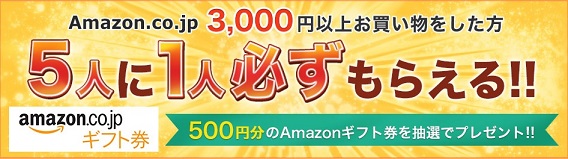 Amazonギフト券500円