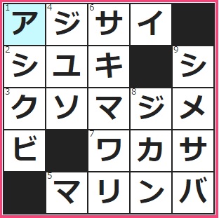 アンクレットが飾る