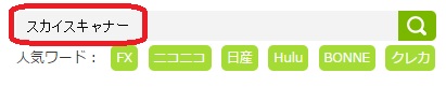 スカイスキャナー検索