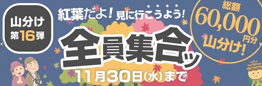 ライフメディアの山分けに参加してみました。