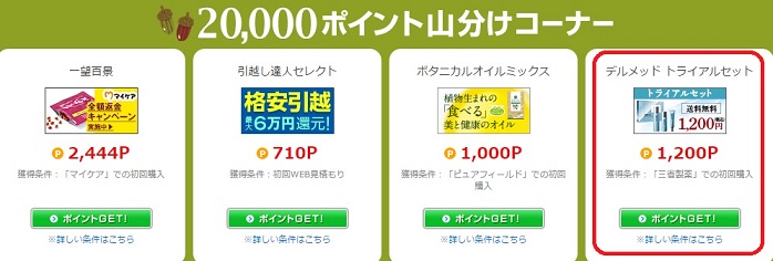 デルメッド　トライアルセット