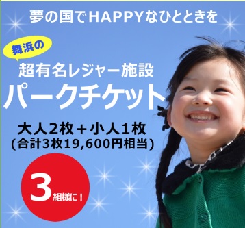 夢の国のパークチケット