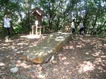 486c3412.jpg