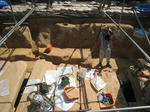 fcf09406.jpg