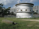 98df5757.jpg