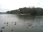 2617e43d.jpg