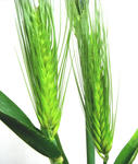 03f5ef57.jpg