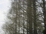 16ed36d9.jpg