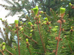 f0ae6219.jpg