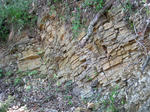 2342f564.jpg