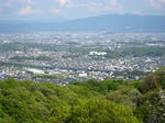 d777ba37.jpg