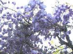 a03503ab.jpg
