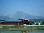 150972cc.jpg