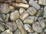 e2d9f427.JPG