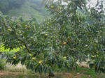 d2210b88.jpg