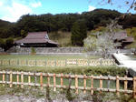 410f9928.JPG