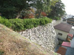e76636e6.JPG
