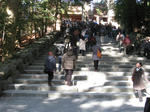 b5f9f61e.JPG