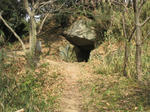 dcd87061.jpg