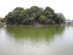 a7d1e712.JPG