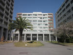 20264d56.JPG