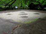 ed6fd499.JPG