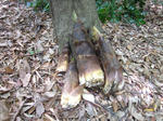 1ccc4e83.JPG