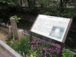 8a512e33.JPG