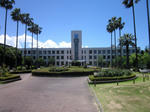 7aa26154.JPG