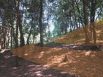 01746744.jpg