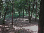 5464b9a1.JPG