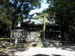 a1d229c1.JPG