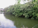 7993929a.JPG