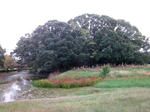0744294c.JPG
