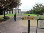 3187d7ae.JPG
