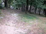 2540598a.JPG