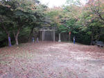 7362cc8e.JPG